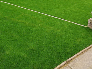 Artificial Turf
