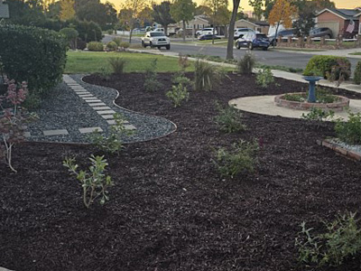 Commercial Landscape Maintenance